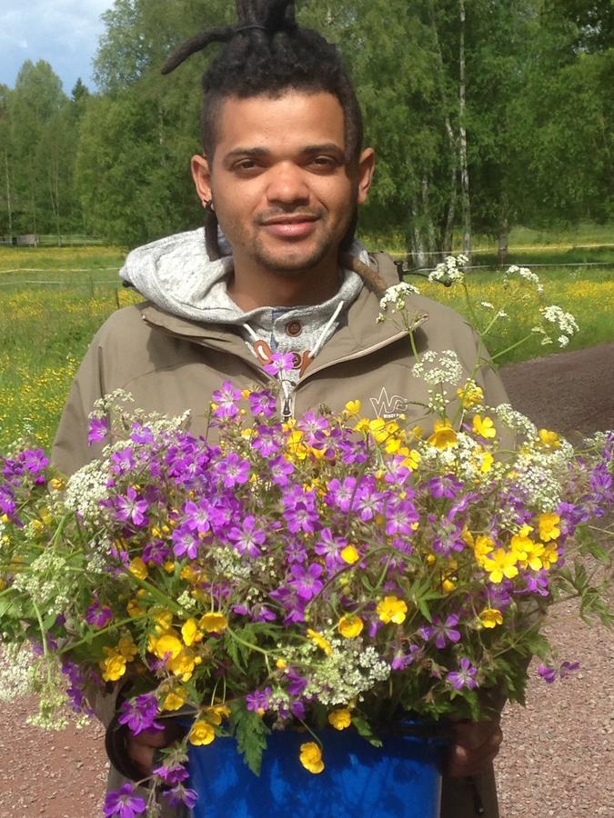 Mora Vandrarhem Och Gaesthem Vinäs Exterior foto